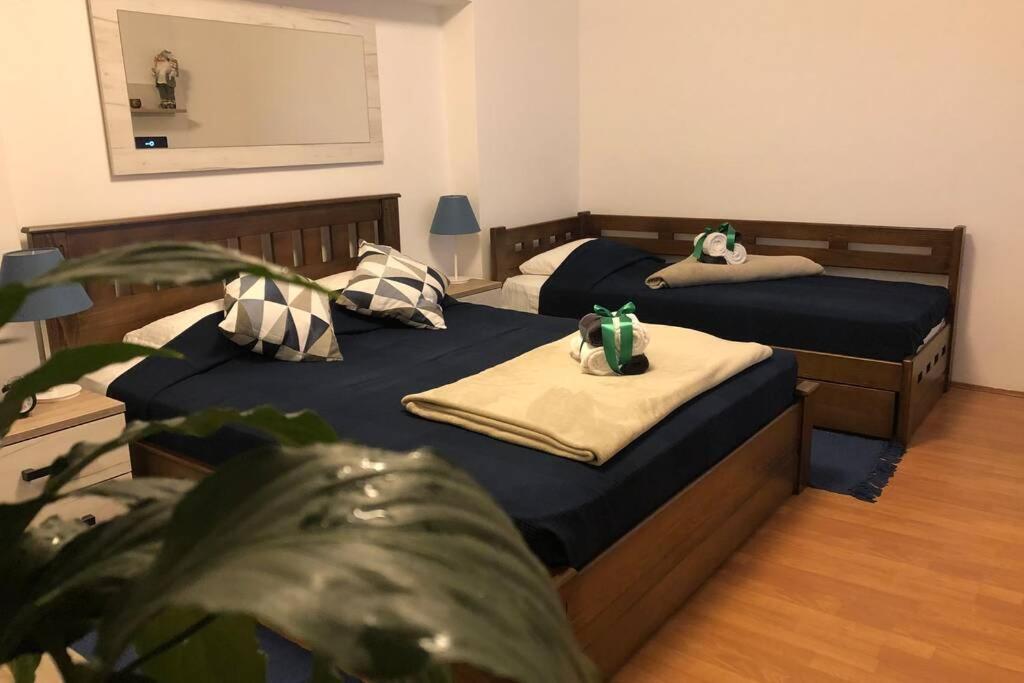 Apartments Balkanska City Center เบลเกรด ภายนอก รูปภาพ